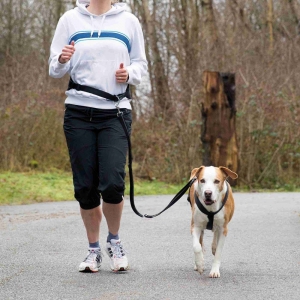 Waist belt with leash, neoprene padded, belt: 75–120 cm/9 cm leash: 1.20–1.50 m/25 mm, black