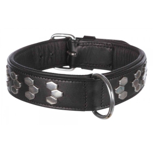 Active collar with studs, leather, L: 48–55 cm/40 mm, black