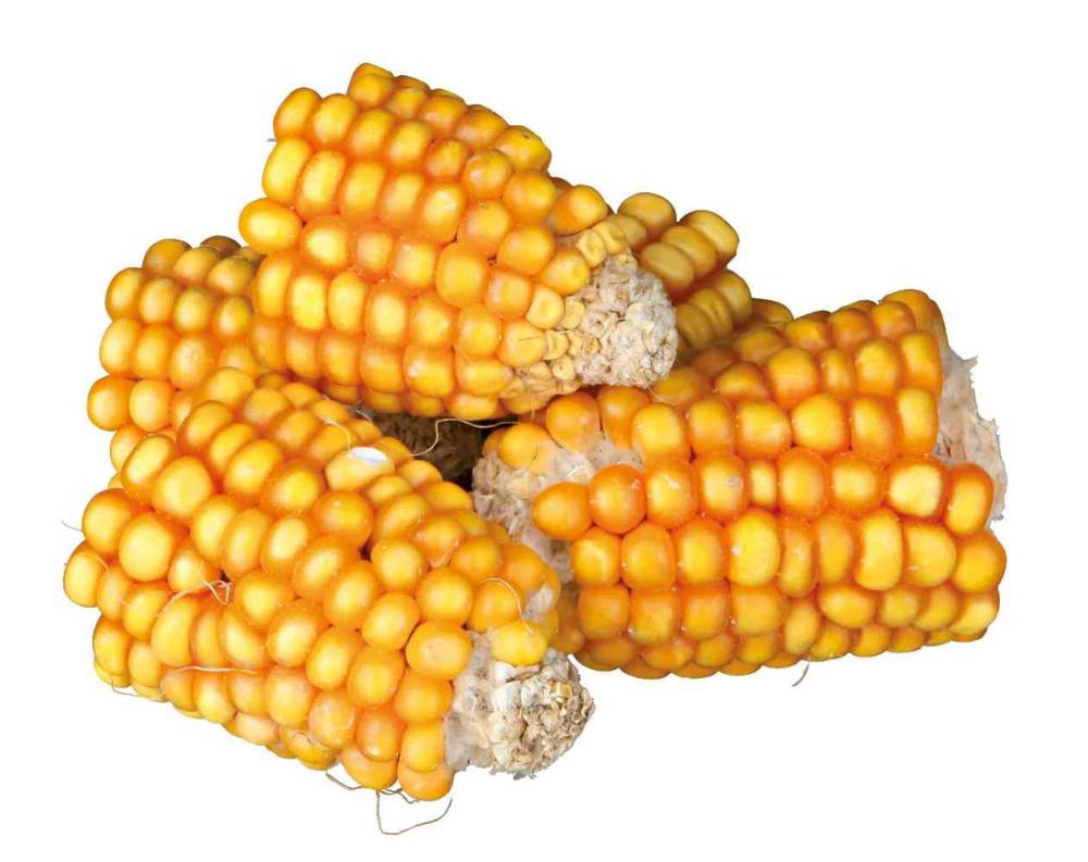 Pieces of maize cobs, 300 g