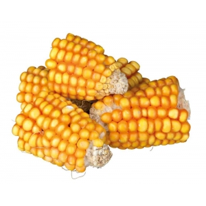 Närilistele Maize cobs/maisipea tükid 300g