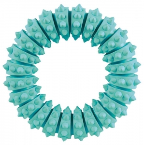 Denta Fun ring, mint flavour, natural rubber, ø 12 cm