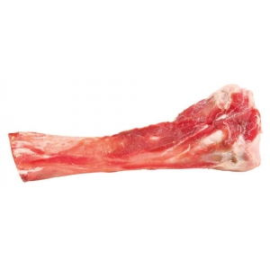 Pig tibia bone, 17 cm, 200 g