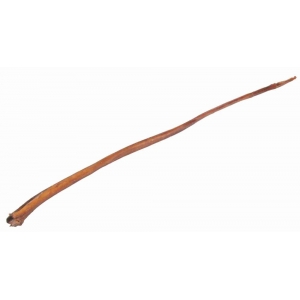 Bull pizzle, dried, 70–80 cm