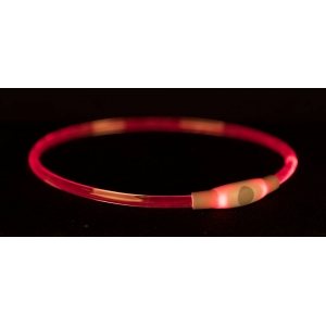 Kaelarihm Flash Light ring USB, L–XL: 65 cm/ø 8 mm, mitmevärviline