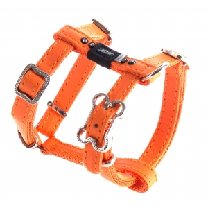 Rogz Lapz 10mm Extra Small Luna Adjustable Dog H-Harness, Orange