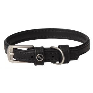 Rogz Leather Range Extra Small 12mm Pin Buckle Dog Collar, Black