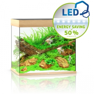 Lido 200 LED light wood