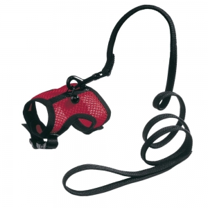 JOGGING SMALL-HARNESS