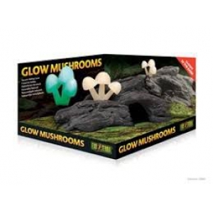 EX Glow Mushrooms Natural Hide Out
