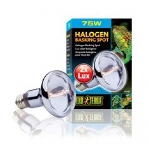 Terrariumi lamp Sun Glo Halogen 75w PT2182