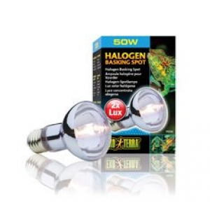 Terrariumi lamp Sun Glo Halogen 50w PT2181