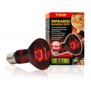 Heat Glo infrared Lamp 75W-V