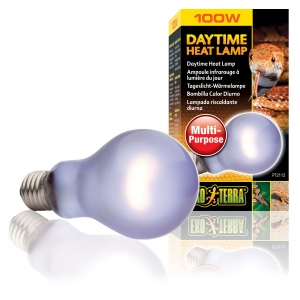 EX Day Glo Bulb 100W-V