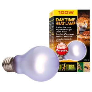 EX Day Glo Bulb 100W-V