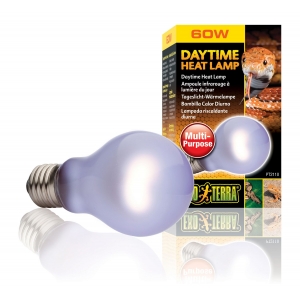 EX Day Glo Bulb 60W-V