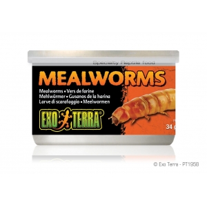 Exo-Terra Mealworms 34g PT1958