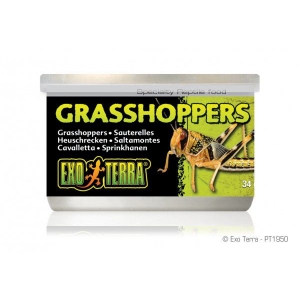 Exo-Terra Grasshoppers 34g.