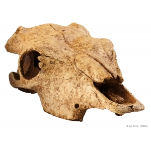 EX Terrarium Decor Cattle Skull