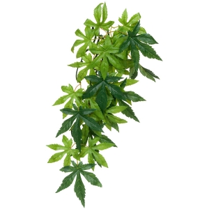 EX Silk Plant Small Abutilon-V