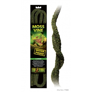 EX Moss Vine Large