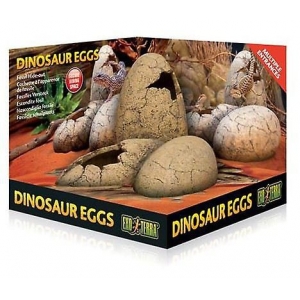 EX Dinosaur Eggs - Hide & Water D