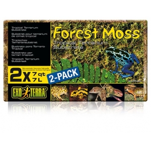EX Forest Plume Moss, 500g