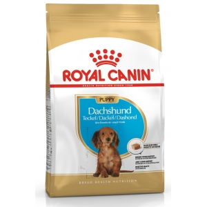 Royal Canin BHN Dachshund Puppy 1.5kg