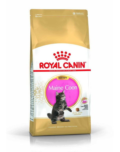 Royal Canin FBN Kitten Maine Coon 10 kg