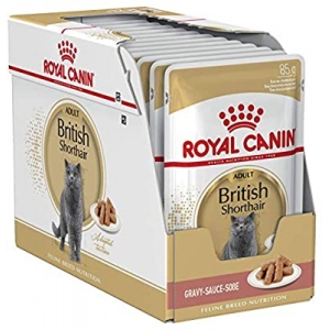 Royal Canin FBN British Shorthair Wet 85g x 12 tk