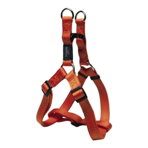 Traksid Step-in Fanbelt L 20mm/53-76cm orange