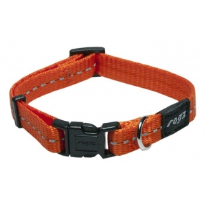 Kaelarihm Nitelife 11mm/20-31cm orange