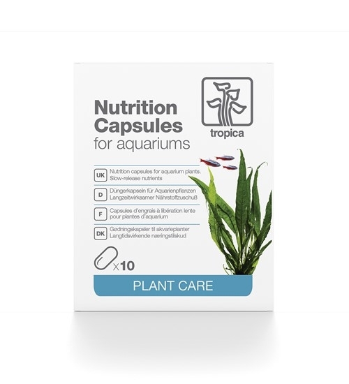 Nutrition Capsules