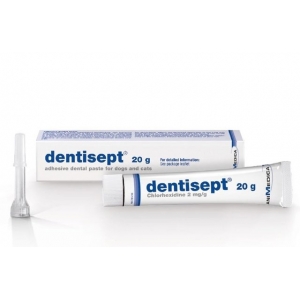 HAMBAPASTA DENTISEPT 20G