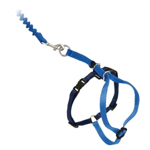 PetSafe kassi trakside Easy Walk S, sinine