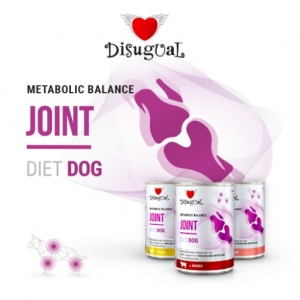 Disugual Diet Dog Joint lõhega konserv koertele 400g