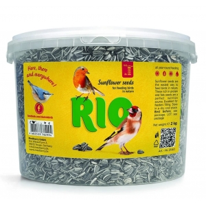 RIO Sunflower seed, 2 kg