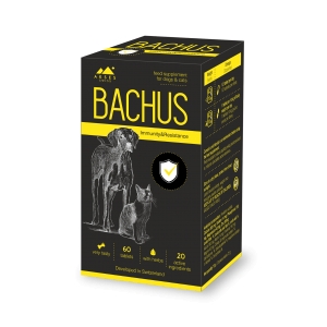 Bachus Immunity&Resistance N60 tab