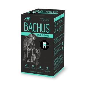 Bachus Bachus Teeth&Gums N60 tab