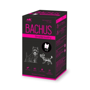 Bachus Small&Healthy N60 tab