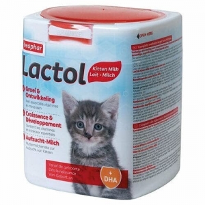Beaphar Lactol Kitten (Kitty Milk) emapiimaasendaja kassipoegadele 500g