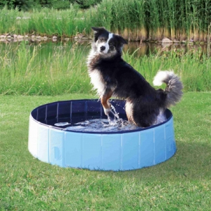 Бассейн для собак, д.120 х 30см светло-голубой/синий