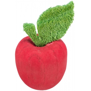 Õun, puit/loofa, ø 5,5 × 9 cm