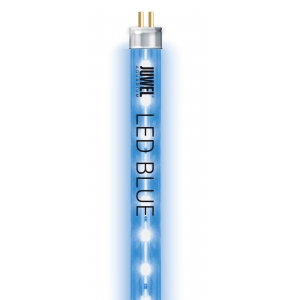 Lamp LED toru sinine 12W 438mm