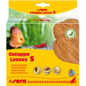 Sera листя Catappa S 10-15cm 10tk