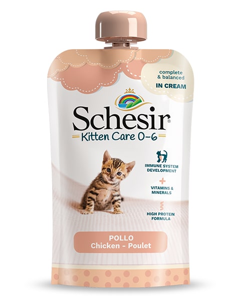 Schesir Kitten Care 0-6 курица влажный корм для котят крем 150г