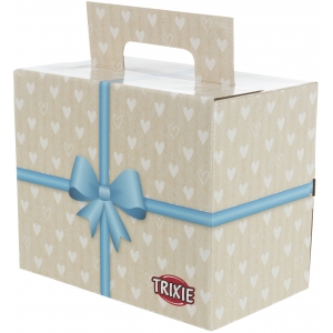 Gift Box, cardboard, 25.5 × 26.4 × 15 cm