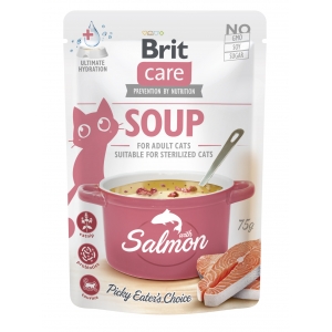Brit Care Soup with Salmon lõhesupp kassidele 75g